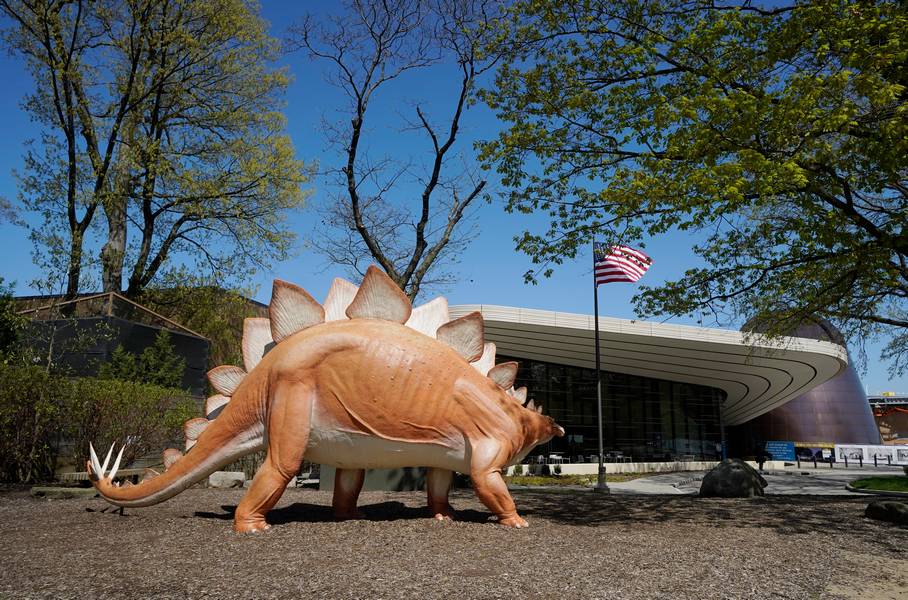 'Steggie' the Stegosaurus greets visitors outside of the Cleveland Museum of Natural History.